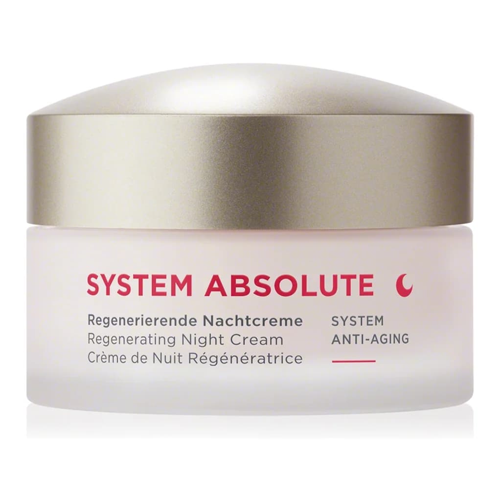 ANNEMARIE BÖRLIND SYSTEM ABSOLUTE